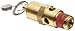 Control Devices SA25-1L165 SA Series Brass ASME Safety Valve, 165 psi Set Pressure, 1/4