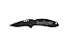 Kershaw 1620H3 All Black Scallion Folding Pocket Knife