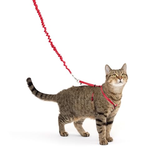 PetSafe Come with Me Kitty Harness and Bungee Leash, Medium, Red