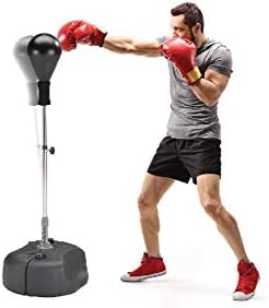 reflex boxing trainer