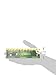 GoGreen Power (24048) Eco Friendly Alkaline AA Batteries - No Lead, Cadmium or Mercury - Pack of 48