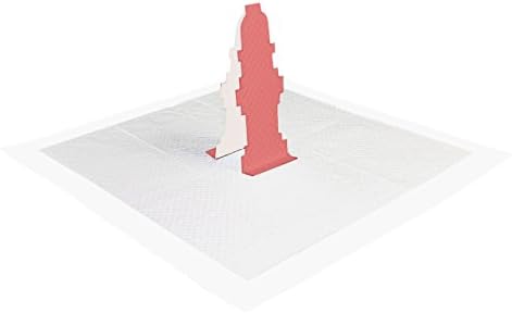 pitbull dog with chain