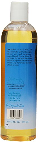 Bio-Groom DBB20012 Protein Lanolin Tearless Concentrate Small Pet Shampoo, 12-Ounce