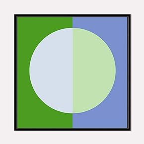 Framed Canvas Wall Art for Living...