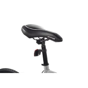 giordano rapido 700c road bike