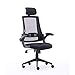 High Back Mesh Office Chair - Ergonomic Design of Computer Desk Chair with Lumbar and Neck Support Color Black
