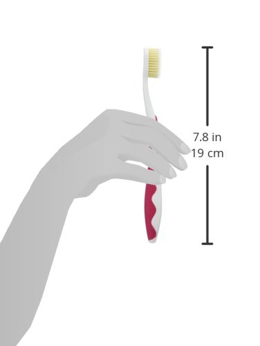 Mouth Watchers Antibacterial Adult Toothbrush Display Case, Red