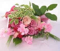 Amazon 桜色のバラのブーケ 期間限定 花束 生花 お祝い 記念日 誕生日 フラワーギフト バラ 花束 オンライン通販