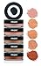 Priori Minerals fx Broad Spectrum 25, All-Natural Sunscreen Powder Foundation SPF 25, Skin Protection, Correction, Perfection, Loose Makeup Minerals, All Skin Types Incl. Sensitive Skin, 5 g (Shade 1)