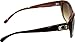 Guess Women's Gradient GU7177-BRN-34 Brown Cat Eye Sunglasses