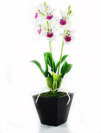 Luxury Hybrid Oncidium Orchid 7" Artificial Flowers Thai Clay Handmade (White)