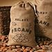 Fresh Dark Chocolate Pecan Halves - 2 pound Tub - Mascot Pecan Nuts and Candy Gifts since 1955
