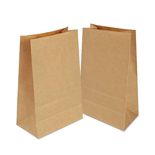 100 Pack Small Paper Bags,Paper Food Bags,Paper Lunch Bags,Kraft Paper