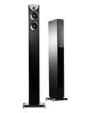 コストパフォーマンス抜群のトールボーイスピーカー。（もちもの再登録