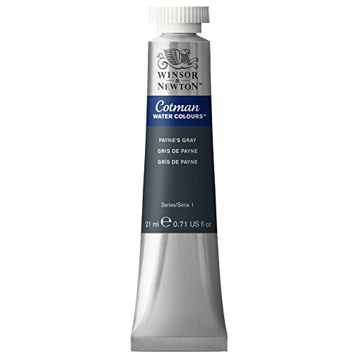 Winsor & newton cotman water color, 21ml, payne s gray