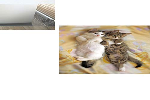 Decorative Privacy Window Film/Kitten Siblings Lying Beside Sleepy Heads Cat Pet Animal Lovers Best Friends Image/No-Glue Self Static Cling for Home Bedroom Bathroom Kitchen Office Decor Multicolor - Thumbnail 5