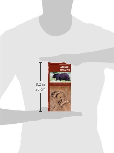 image for Waterford Press Animal Tracks: A Folding Pocket Guide to the Tracks & 