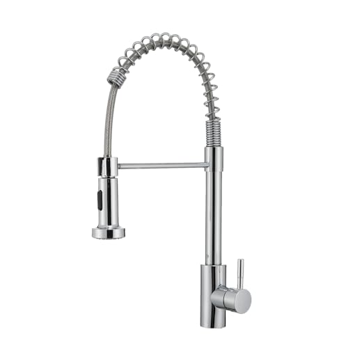 Heemli Torneira Cozinha Gourmet Monocomando Aço Inox Com Spray Extensor,Torneiras Misturadoras de água Quente e Fria,Dois Modos de Distribuição de água（Jatos de água e chuveiros） (Prata)