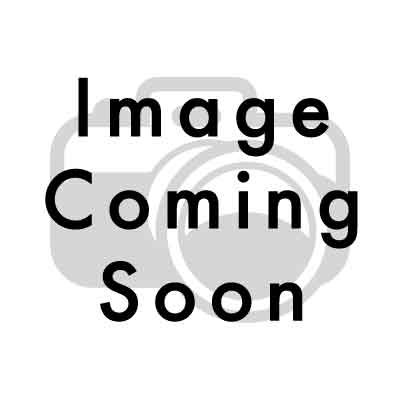 Lattis 79" x 21" Pivot Shower Door Finish: Brushed Nickel, Opening Size: 79" x 33.25", Opening Size: 79" x 33.25"