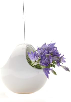 Chive Hanging Aerium Nest Vase, White