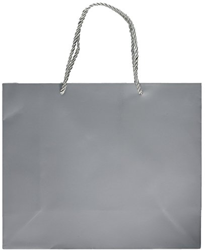 Singular Metallizing Party Gift Paper Bags, Medium, 12.2'' L x 10'' W, Silver, Set of 12