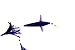 EatMyTackle Bird Feather Daisy Chain | Saltwater Fishing Teaser (Purple)