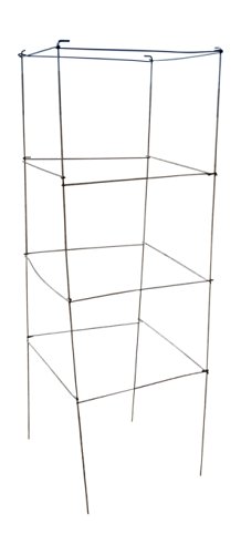 Galvanized Square Folding Tomato Cage Plant Support Trellis Tower 12 inch by 42 inch, Pack of 10 (10, Galvanized)