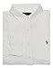 Polo Ralph Lauren Men's Classic Oxford Shirt (Large, White)