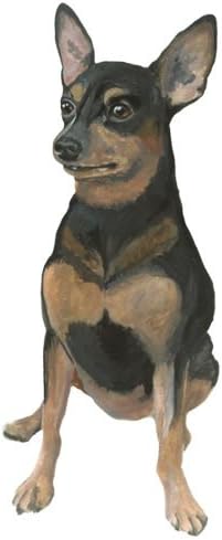 Amazon コットンエンブレム ミニチュアピンシャー はがきサイズ シュワンツ 犬 通販