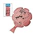 Fun Express Whoopee Cushion Pack - Classic Gag Toy for Practical Jokes - Ideal Party Favors for Kids - Perfect for Birthdays Events & Gatherings Fun and Hilarious Entertainment Multicolor - 12 Pieces