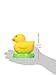 Pi Lab Edwin The Duck, Yellow