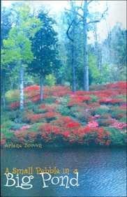 A Small Pebble in a Big Pond by Arlene Brown (2004-01-04) by (Paperback)