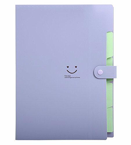 Lateral File Folders Expandable Plastic Portable Classification Accordian Folder Organizer