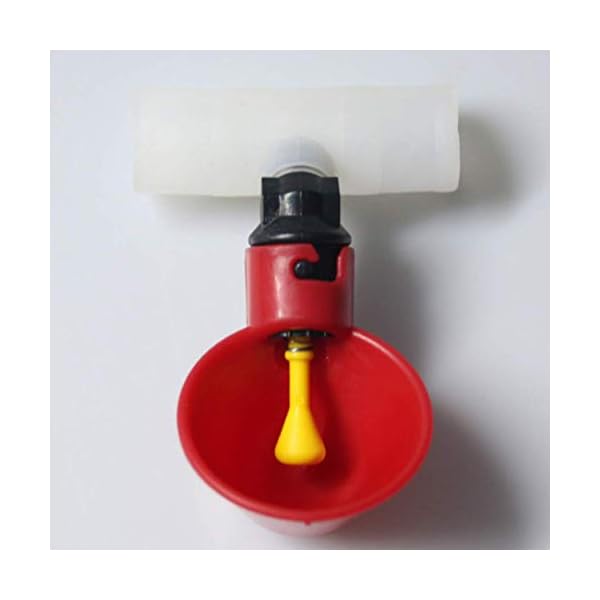SEESEE.U Alimentatore Automatico di Pollo Waterer Pollame Capezzolo Bevitori di mangime Piccione Pollo Ciotola per Tubo…