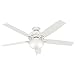 Hunter Indoor Ceiling Fan with LED Light and pull chain control - Donegan 60 inch, Onyx Bengal, 54170