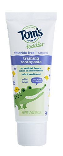 Tom's of Maine Toddlers Fluoride-Free Natural Toothpaste in Gel, Mild Fruit, 1.75 Ounce, 3 Count