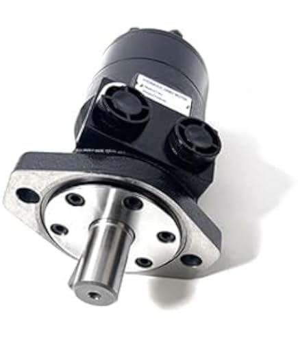 Amazon.com: Vanair 263366, Replacement Hydraulic Motor for ADHD