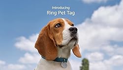 Ring Pet Tag | Easy-to-use tag with QR code