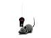 Allytech RC Mouse Funny Wireless Remote Control Rat Toy For Cats Dogs Pets Kids Novelty Gift Funny (Grey)