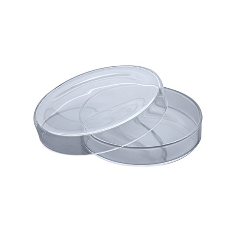 Time Concept Decorative Laboratory Glass Petri Dish - Size 3 - Accesory Storage, Home Decoration