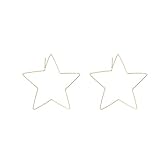 2017 New Tassel Earrings Dangle Long Earrings For Girls Womens (Big Star)