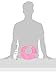 Bumkins Absorbent Cotton Chin Bib, Pink, 2-Count