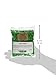 Jelly Belly Green Jelly Beans, Green Apple, 1 Pound
