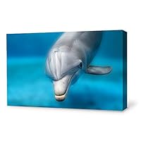 Canvas Wall Art Lovely Dolphin Canvas Prints Home Artwork Decoration for Living Room,Bedroom - 12x18 inches