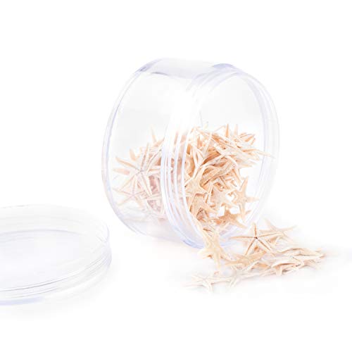 3 Miniature+Starfish+Collection+Decorations+Invitations