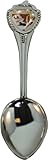 MD Souvenir Spoon