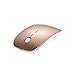 Cesert 2.4ghz Wireless Optical USB Mouse with Receiver for Macbook Air Pro Acer Chromebook and All Laptop (Gold)
