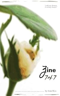 Livro Zine 747