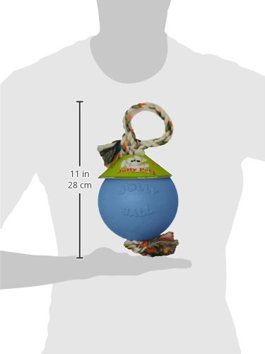 Jolly Pets 4.5-Inch Romp-n-Roll, Blueberry