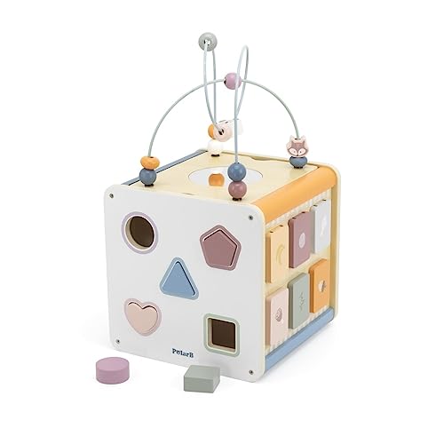 PolarB 8-in-1 Activity Cube